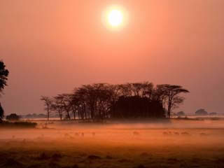  赞比亚:  
 
 Kafue National Park